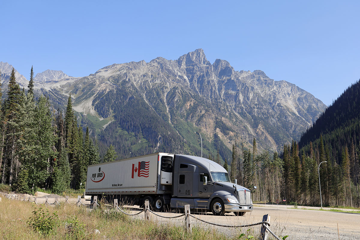 Rogers Pass